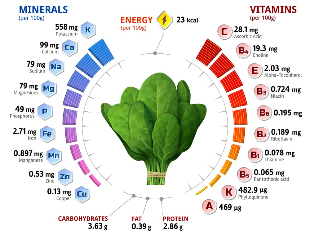 understanding your health: common laboratory values