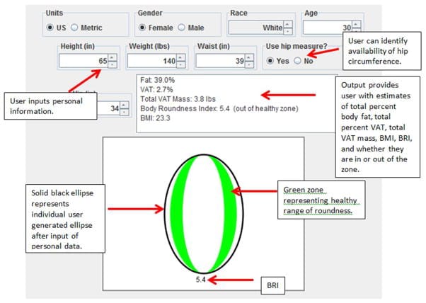 body roundness index